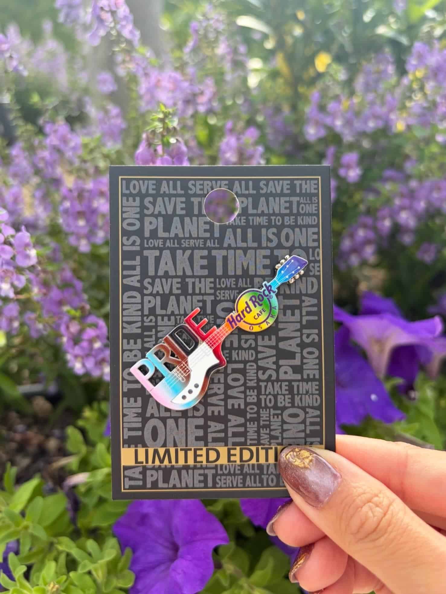 💜💛PRIDE PIN💙💚