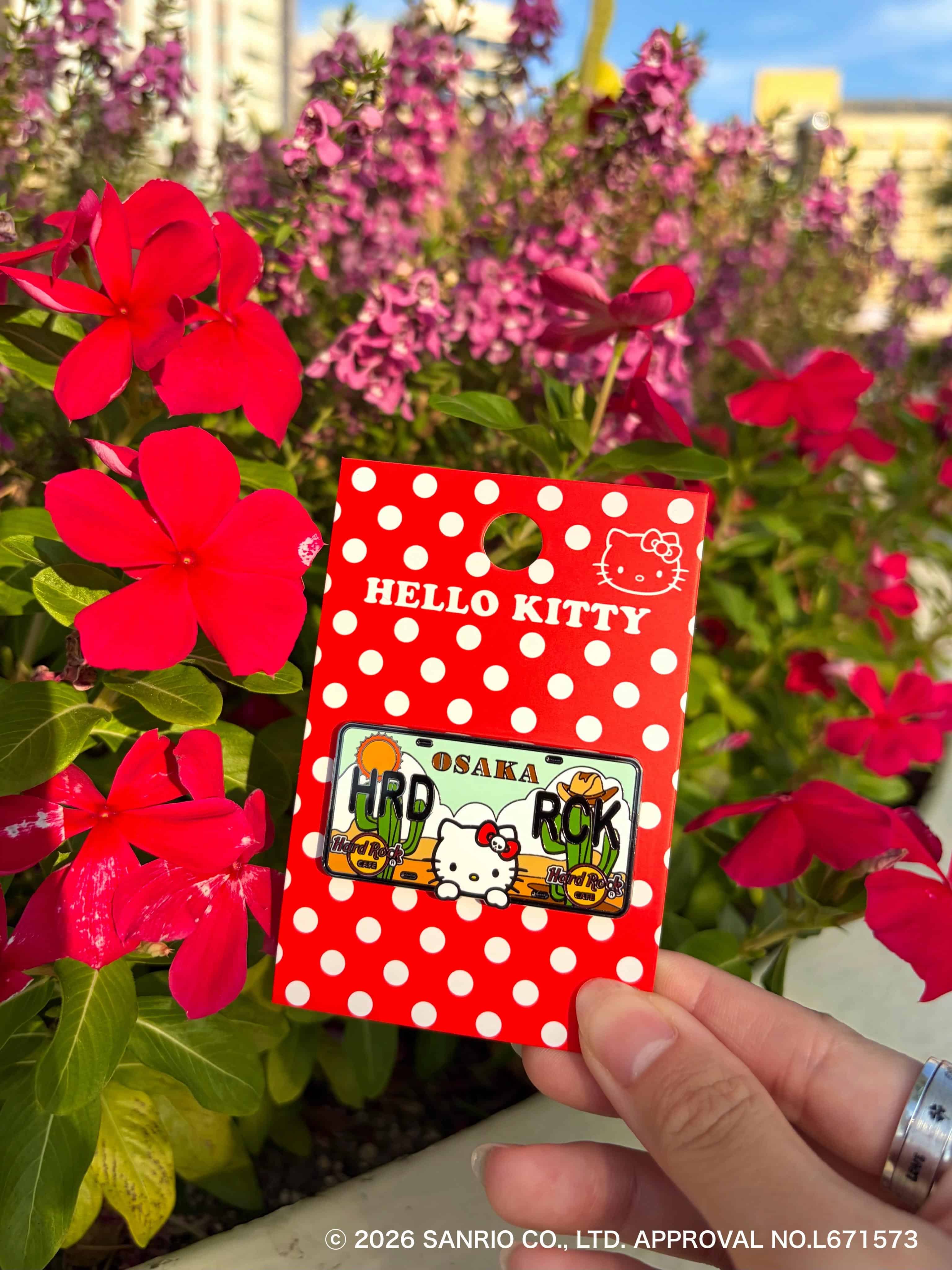 🍎Hello Kitty pins are out now🍎